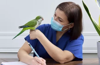 What Are Some Common Signs of Illness in Pet Birds, and When Should I Seek Veterinary Care?