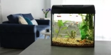 How Can I Cycle a New Aquarium to Ensure a Healthy Environment for My Fish?